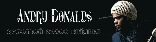 Эндрю Доналдс