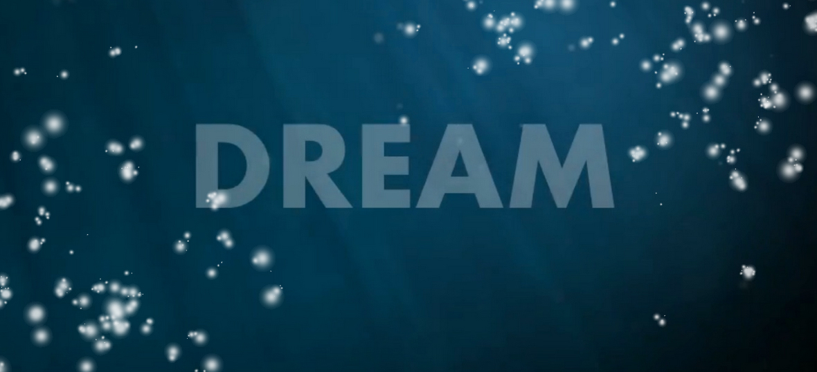 New Year Dream 2014