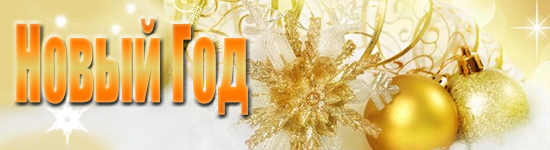 Новый Год 2013