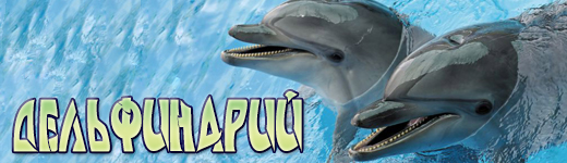 Дельфинарий