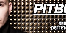 Pitbull