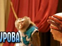 В гостях у дедушки Дурова