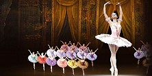 Спящая красавица