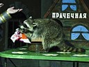 Дорога - длиною в век
