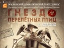 Гнездо перелётных птиц