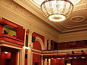Калина красная